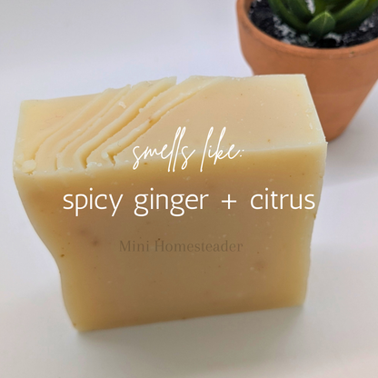Ginger Bergamont Handmade Soap 4oz – Natural Coconut Oil Bar Soap
