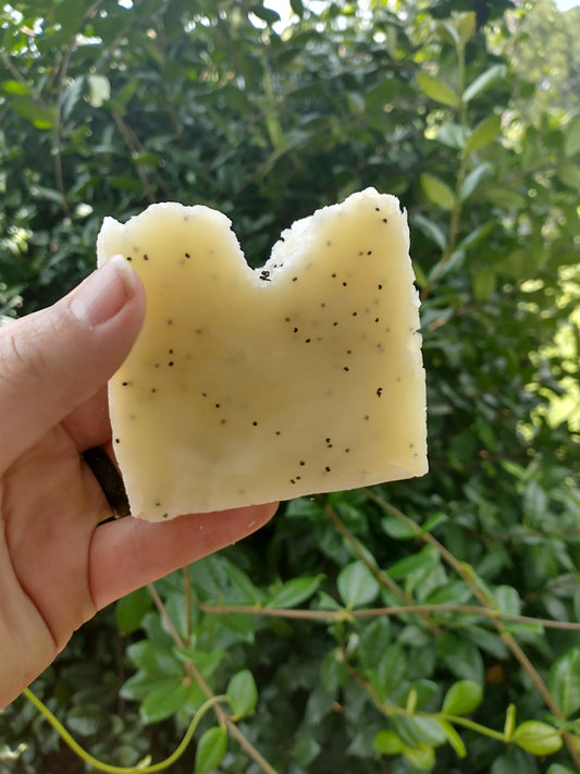 Lemongrass Poppy Seed Bar Soap - 4oz