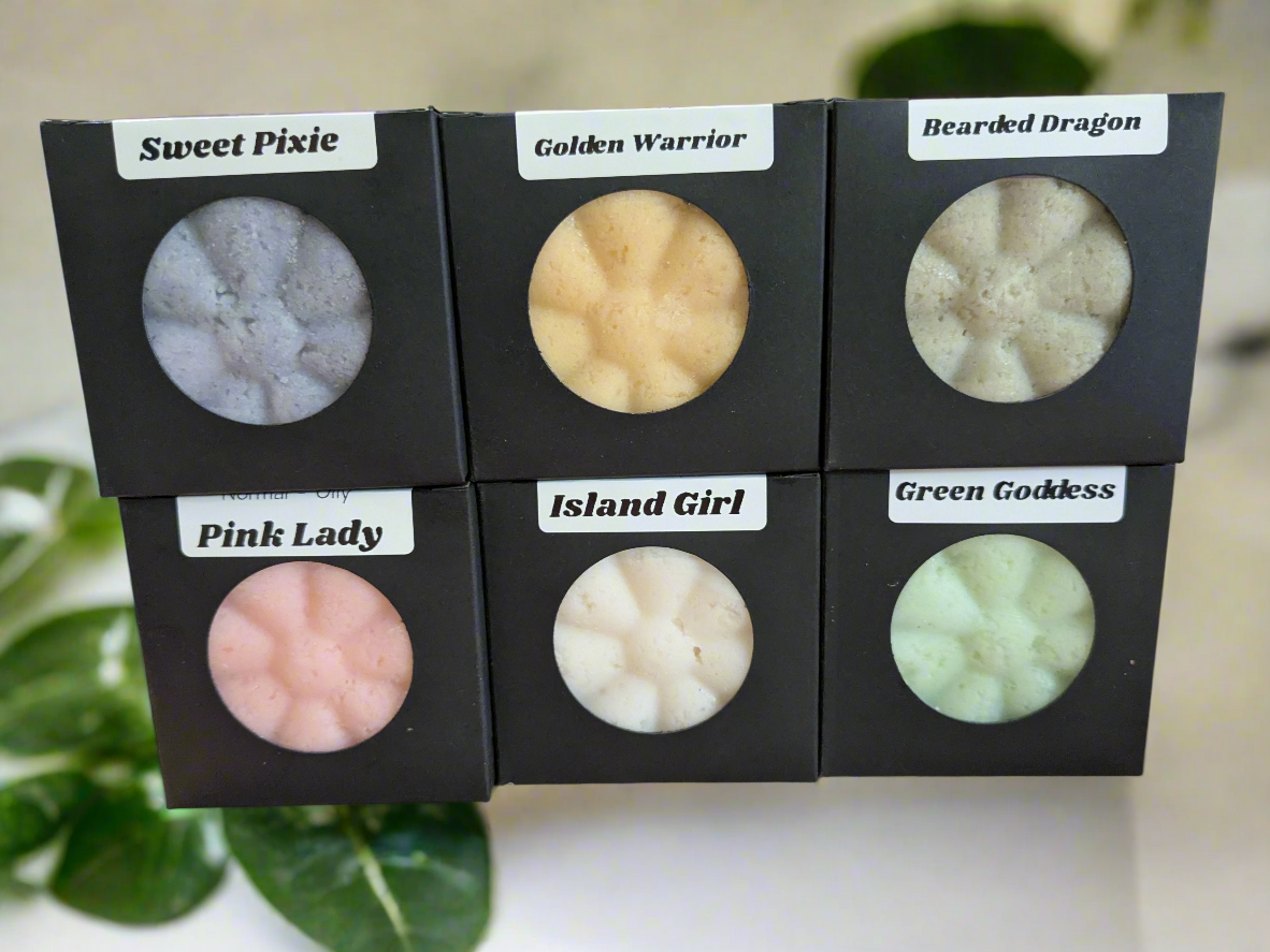 Solid Shampoo Bar - Dye Free 3.5oz