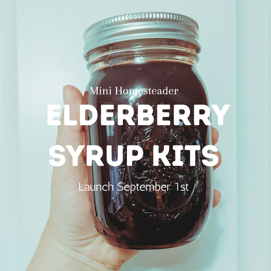 DIY Elderberry Syrup Kit
